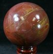 Colorful Petrified Wood Sphere #20646-1